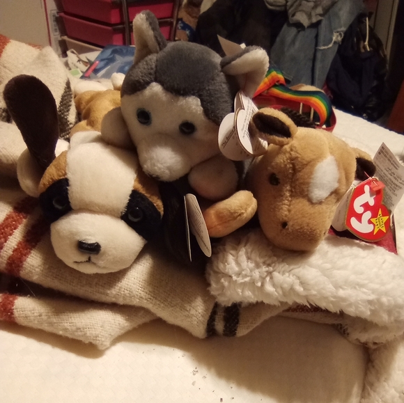 Meet your Posher, Megan - Picture 8 of 10